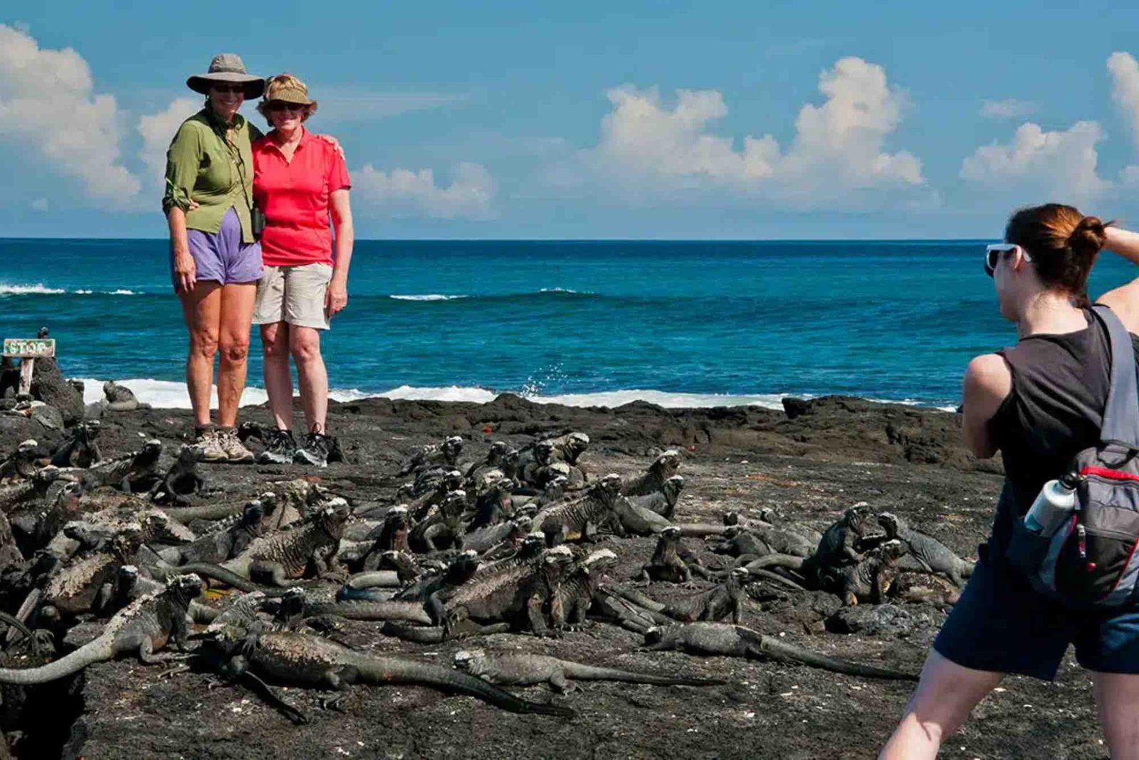 Best is sky Land and Ocean Travel Legit an in Depth Review For Beginners