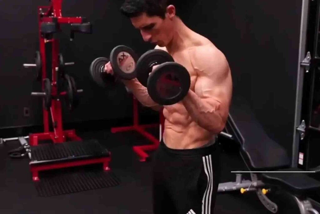 Best Which Strength Curve Most Accurately Represents a Biceps Cur For Beginners