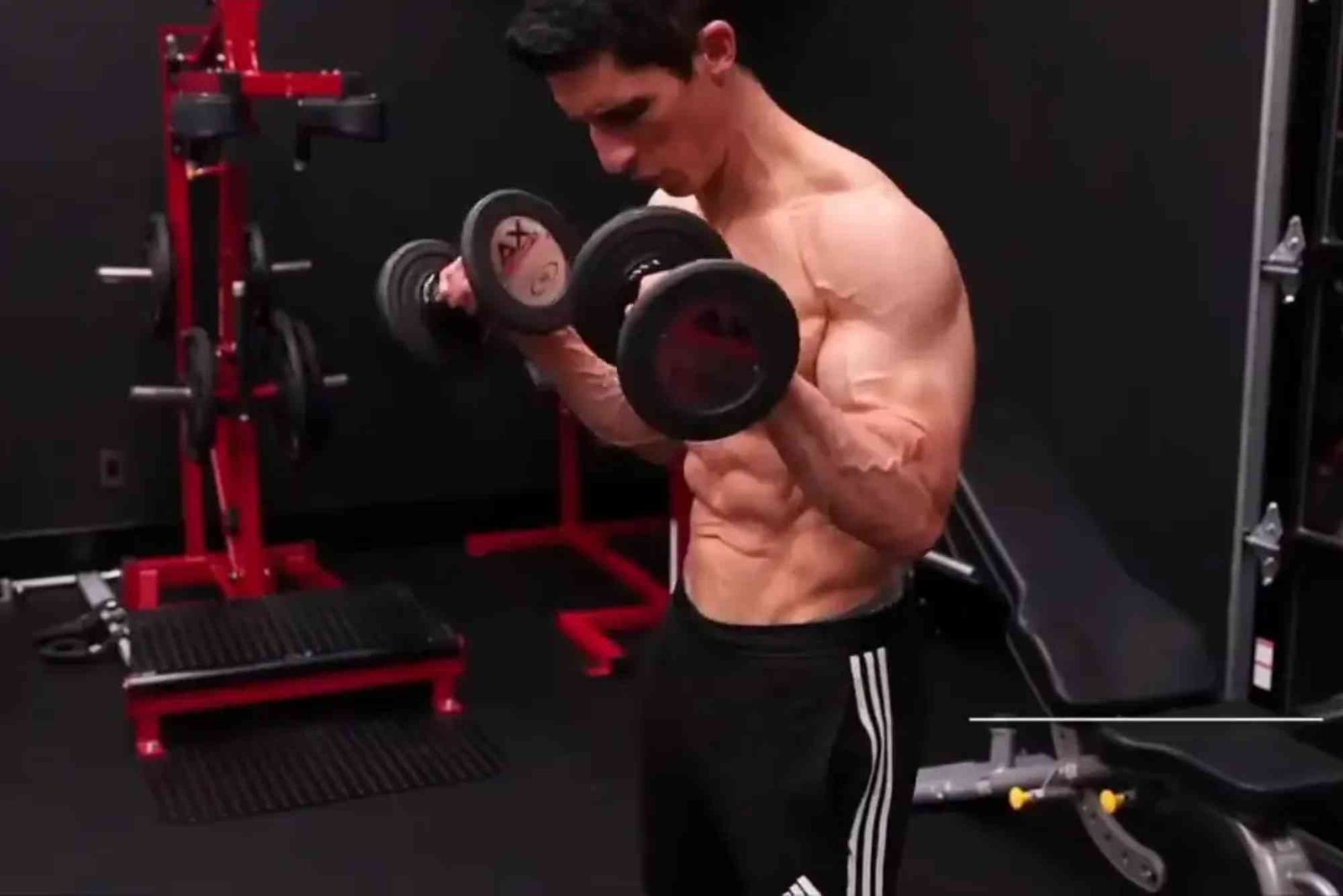 Best Which Strength Curve Most Accurately Represents a Biceps Cur For Beginners