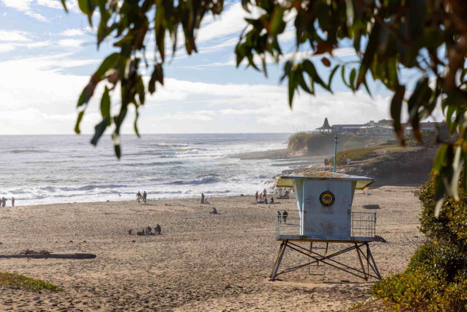 Is Sky Land And Ocean Travel Legit An In Depth Review Checklist (Step-By-Step Guide)