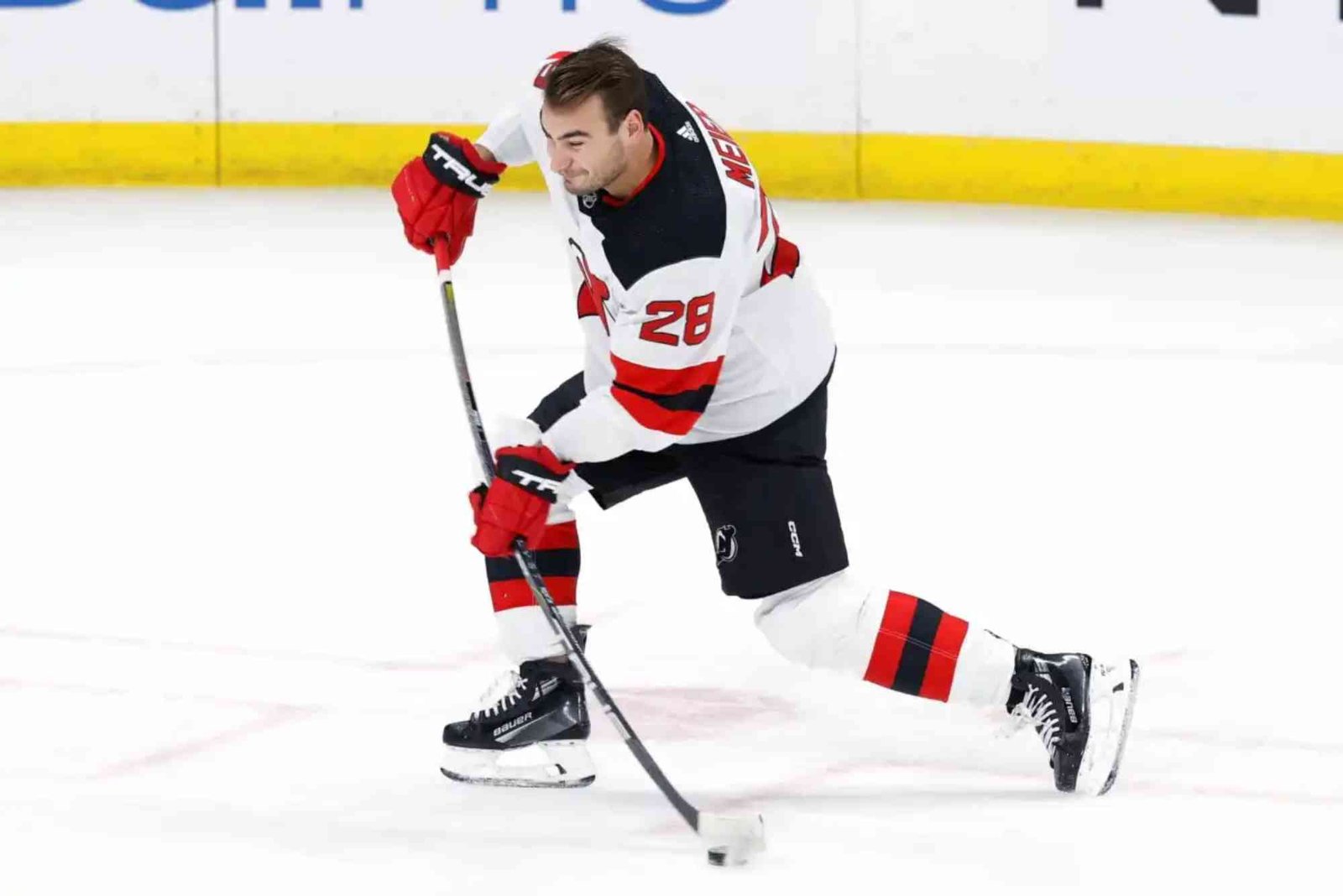 هل تيمو مناسب للمبتدئين في التجارة؟